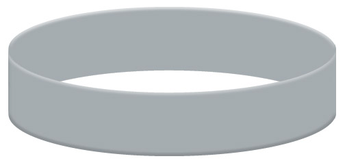 Wristband Color Example - Gray